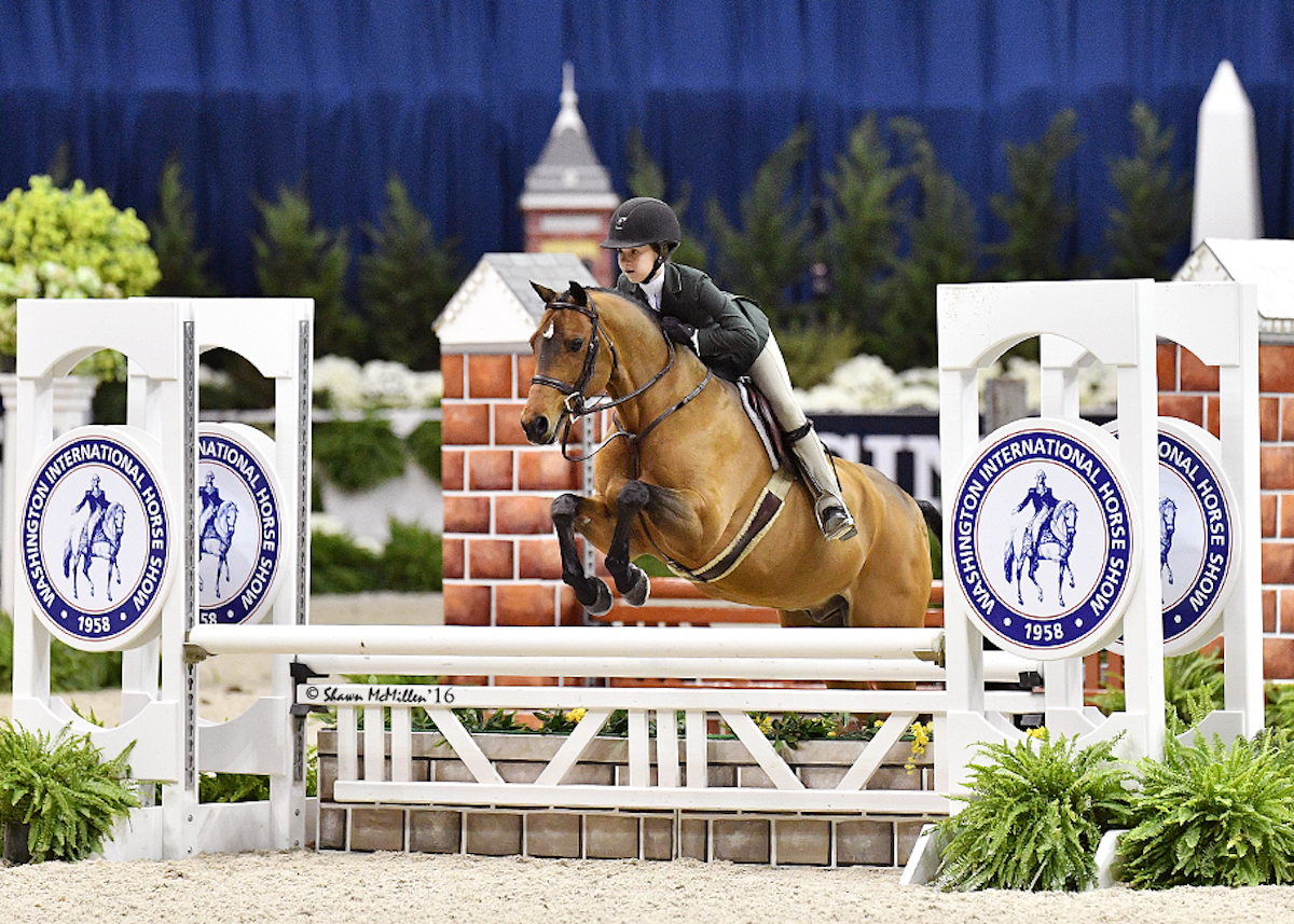 Hunter Jumper Barn in Indiana Three Ships Horseback Riding
